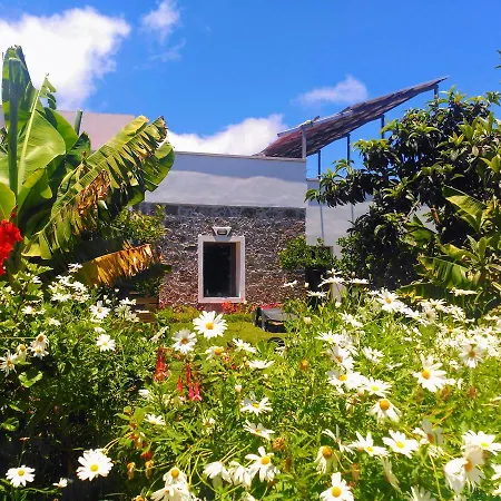别墅 加那利别墅酒店 Santa Maria de Guia de Gran Canaria