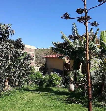 Villa Canaria Piscina Jacuzzi Jardin
