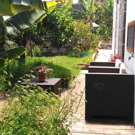 Canaria Piscina Jacuzzi Jardin