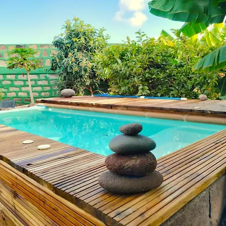 Canaria Piscina Jacuzzi Jardin