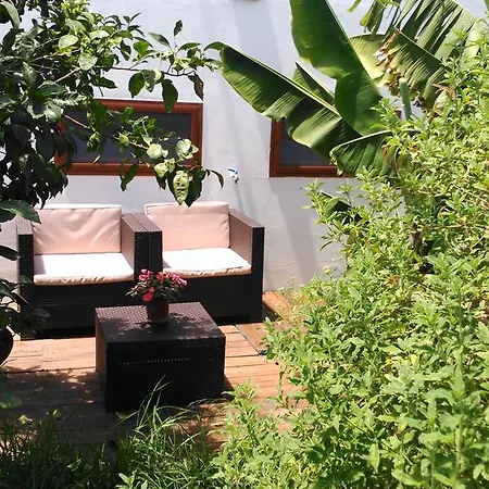 Canaria Piscina Jacuzzi Jardin *