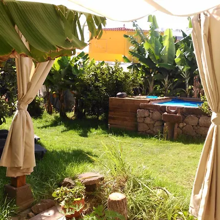 ヴィラ Canaria Piscina Jacuzzi Jardin Santa Maria de Guia de Gran Canaria