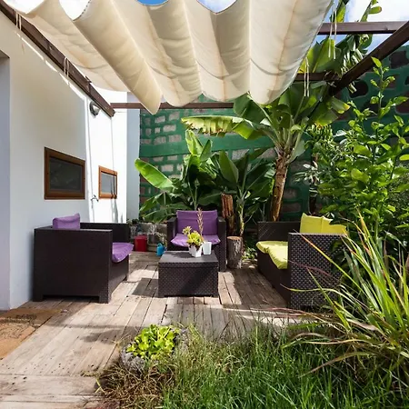 Canaria Piscina Jacuzzi Jardin *