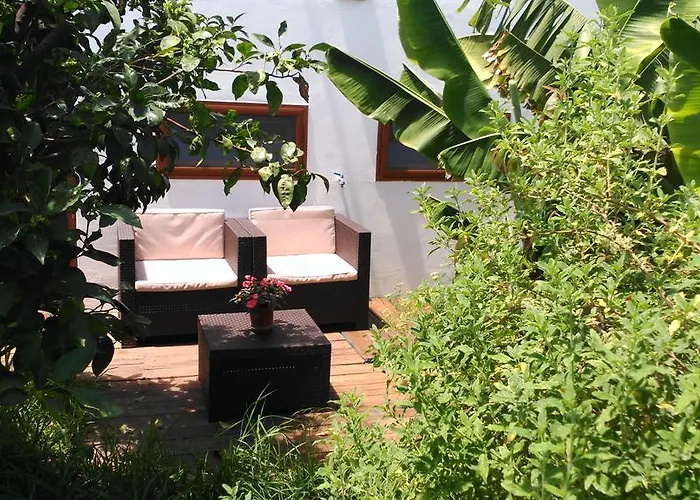 Canaria Piscina Jacuzzi Jardin *