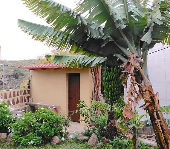 Willa Canaria Piscina Jacuzzi Jardin *