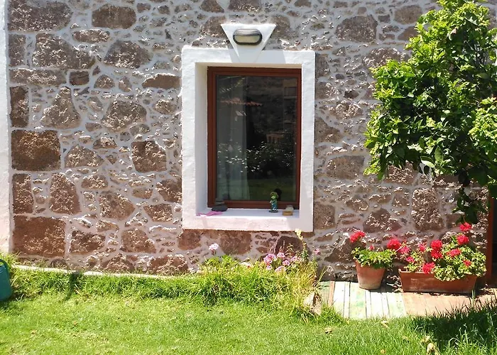 Canaria Piscina Jacuzzi Jardin *