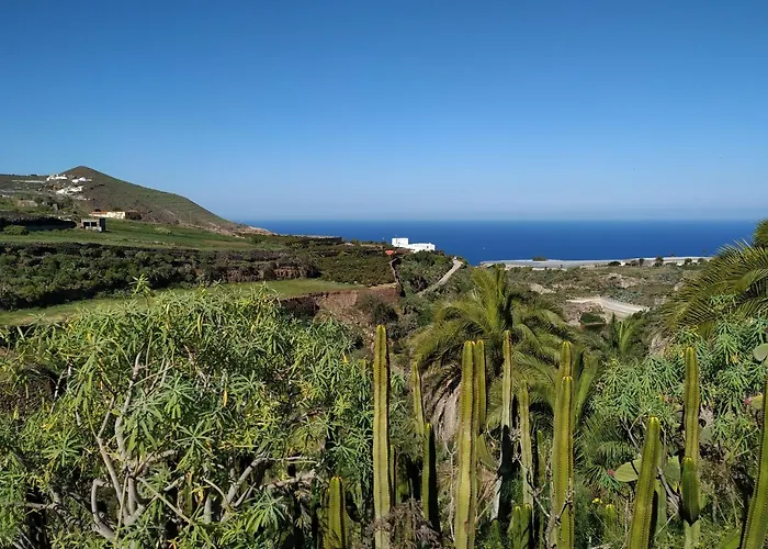 Canaria Piscina Jacuzzi Jardin Willa *