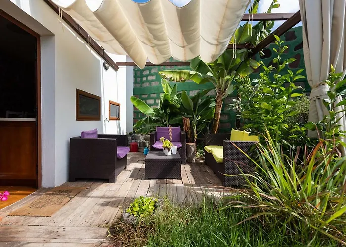 Canaria Piscina Jacuzzi Jardin *