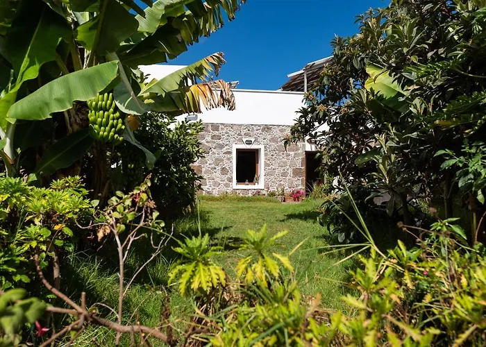 Canaria Piscina Jacuzzi Jardin Santa Maria de Guia de Gran Canaria